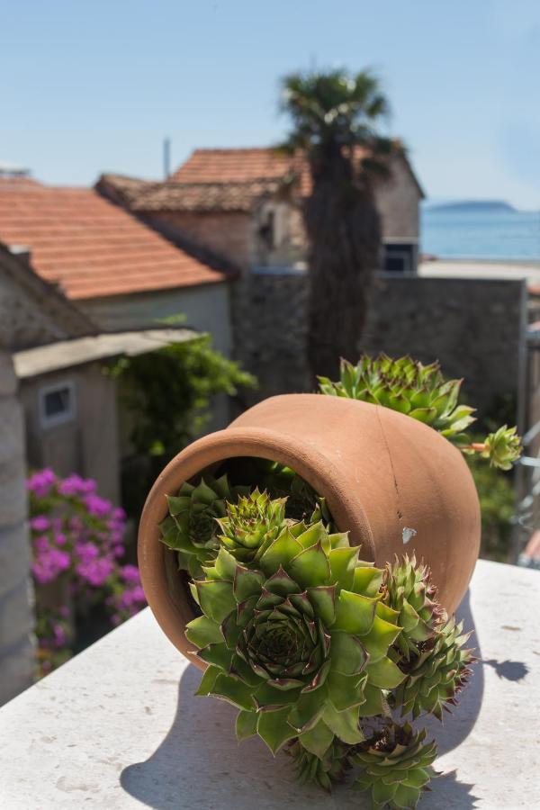 Amaizing Apartment Near Airport Kaštel Štafilić 외부 사진